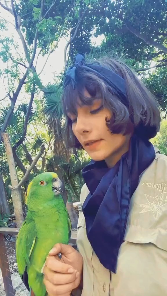 熊猫体育全站-关于蒂格：布克是个聪明的家伙，他这辈子都会在太阳了的信息